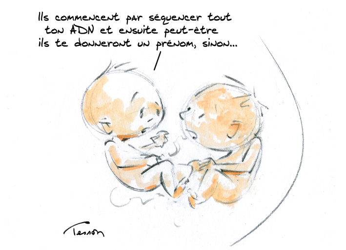 Projet de loi relatif à la bioéthique. L’embryon, un « amas de cellules » ?