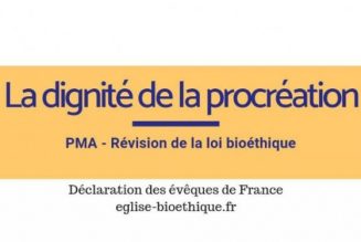 Les évêques rappellent la dignité de la procréation