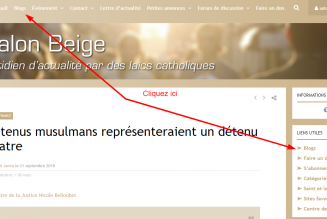 Et pour lire le Salon beige sans cliquer sur chaque article ?