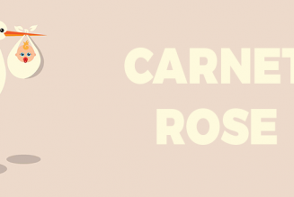 Le grand remplacement des prénoms