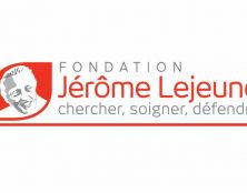 Sénat : les Républicains ont été force de proposition aggravant les transgressions du projet de loi bioéthique