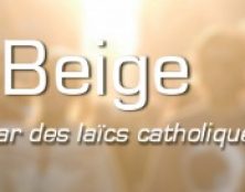 Lancement du Salon Beige Action