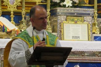 Où en sont les relations entre Rome et la Fraternité Saint-Pie-X ?