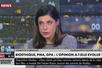 Pacs, “mariage” pour tous, PMA, GPA : une logique implacable mais destructrice
