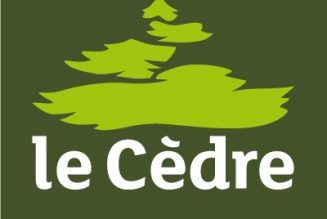 Le Cèdre, une entreprise inspirée de la doctrine sociale de l’Eglise