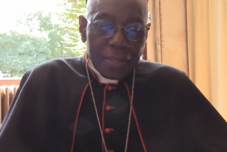 Veillées pour la vie : Bénédiction du Cardinal Sarah