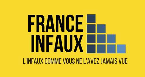 France infox et la propagande LGBT