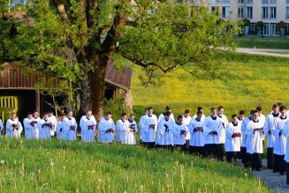 Entrées dans les instituts traditionalistes