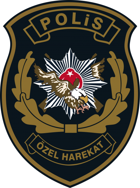 Que fait le police turque dans Berlin ?