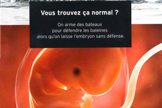 “La réduction du nombre de rendez-vous obligatoires et la possibilité d’avorter chez soi ont permis de maintenir les IVG”