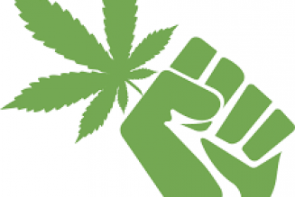 Le Canada viole le droit international