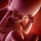 Un « congé maternité » après un avortement