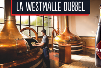 La WestmalleDubbel, une bière brassée par les moines trappistes