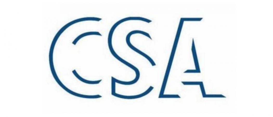 Le CSA accueille en son sein des partisans de la théorie du grand remplacement