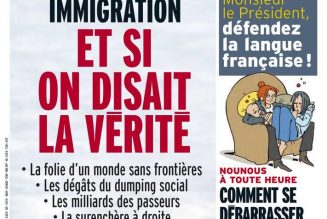 Immigration : et si on arrêtait de mentir ?