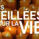 Moins de 100 veillées pour la vie actuellement déclarées