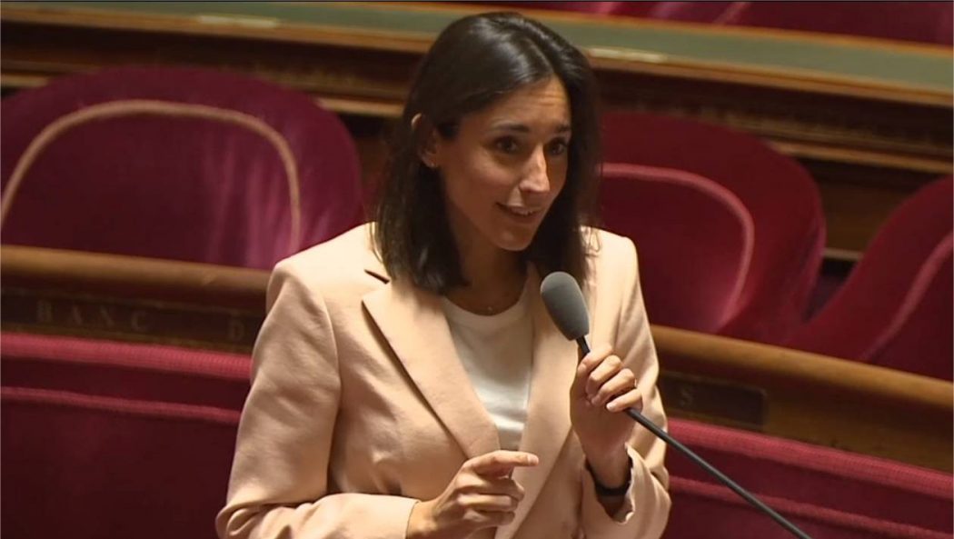 Madame LE ministre n’aime pas la langue française