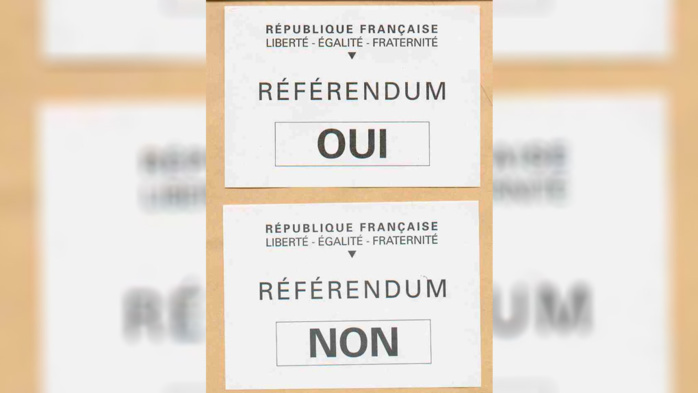 Et s’il fallait 24 ans de présence aux immigrés naturalisés pour pouvoir voter en France ?