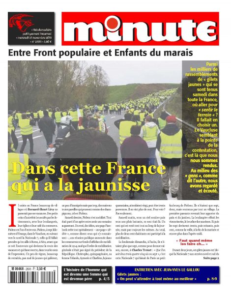 Quel chef pour les Gilets jaunes ?