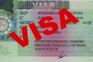 Emmanuel Macron promet plus de «flexibilité» dans les demandes de visa des Algériens