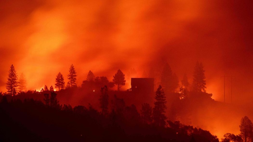 L’écologisme outrancier, cause des incendies en Californie ?