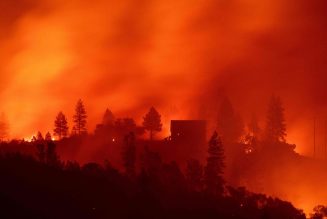 L’écologisme outrancier, cause des incendies en Californie ?