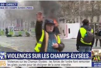 Désinformation sur la peste brune en gilet jaune