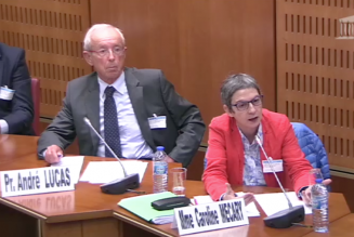 Evolution de la loi sur la bio-éthique. Parenté biologique ou parenté par volonté ?