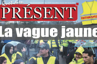 Gilets Jaunes : fausses nouvelles de Christophe Castaner