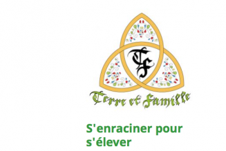 Jaune de colère : la « transition écologique » est un mensonge