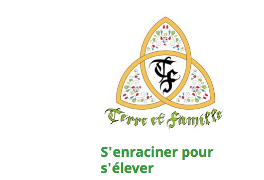 Jaune de colère : la « transition écologique » est un mensonge