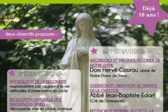 Journée pour tous les prêtres lundi 21 janvier à Versailles : Chasteté sacerdotale ou conjugale, raison conjointe d’espérer