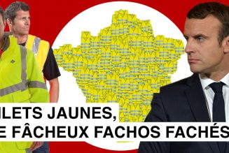 IMedia : Les gilets jaunes, aussi fachos que fâchés ?