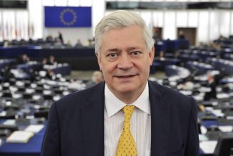 Renault-Nissan : Bruno Gollnisch candidat à la succession de Carlos Ghosn