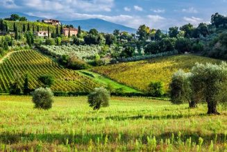 Un lopin de terre agricole offert pour la naissance du troisième enfant