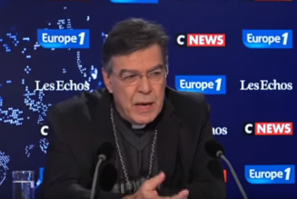 Parole d’évêque : 3 minutes sur la GPA de l’archevêque de Paris