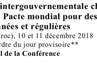 Le Pacte de Marrakech n’engage pas la France : intox