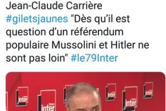 Le référendum les rend fous