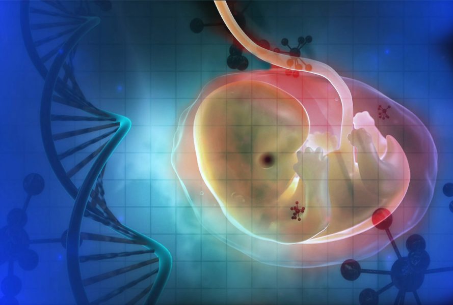 Bébés génétiquement modifiés : une indignation douteuse