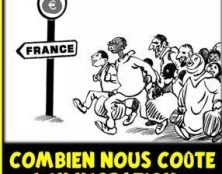 Des filières sont organisées dans le but de faire venir des immigrés en France pour se faire soigner gratuitement
