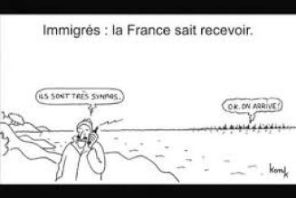 La fraude à la sécurité sociale d’origine algérienne, marocaine, congolaise, et malienne coûterait 20 milliards par an
