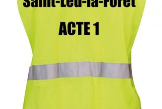 Saint-Leu-la-Forêt (95) : La préfecture refuse un projet de crèche et impose en catimini un centre d’hébergement d’urgence