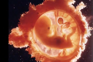 L’Association des Chrétiens Protestants & Evangéliques pour le Respect de la VIE appelle à marcher pour la vie