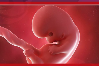 42 millions d’enfants avortés l’an passé