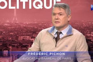 Maître Frédéric Pichon : Les Gilets Jaunes face à l’Etat policier