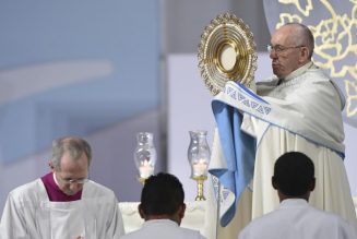 L’importance de l’enracinement