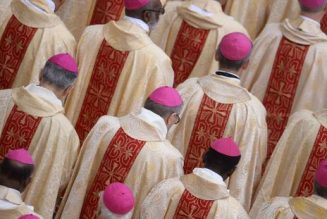 De nombreux évêques soutiennent la Marche pour la vie