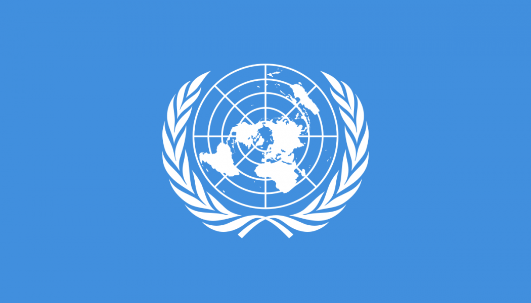 Des experts de l’ONU dénoncent des restrictions graves aux droits des manifestants « gilets jaunes »