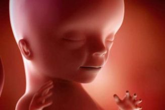L’évolution de votre bébé en images, semaine par semaine