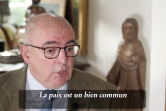 Défendre le bien commun de la paix, est-ce possible sans la guerre?